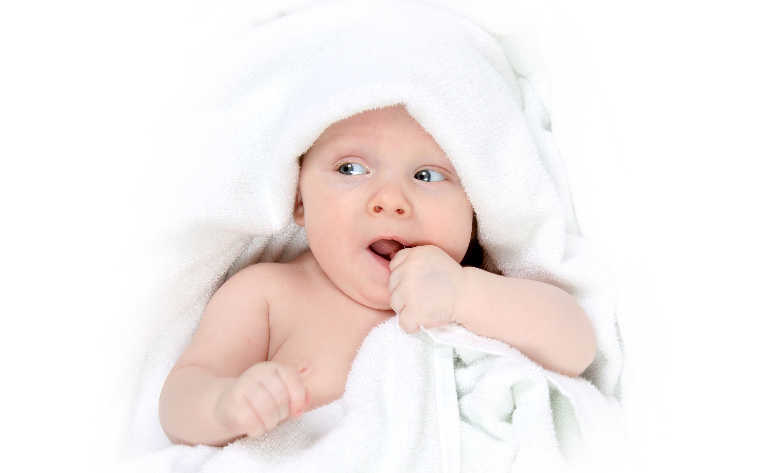 金华代怀生子助孕机构试管婴儿移鲜胚成功率高吗